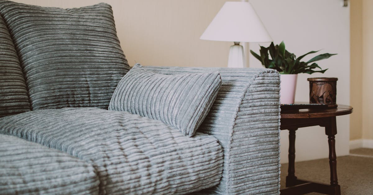How to wash polyester couch cushions
