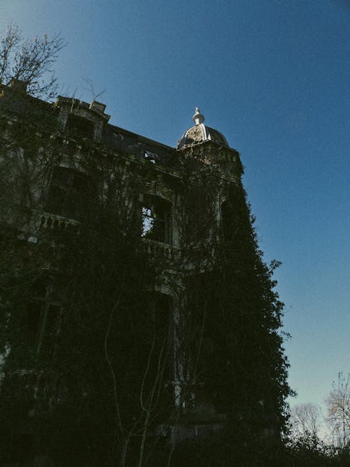 Fotobanka s bezplatnými fotkami na tému brečtan, horolezec, palác