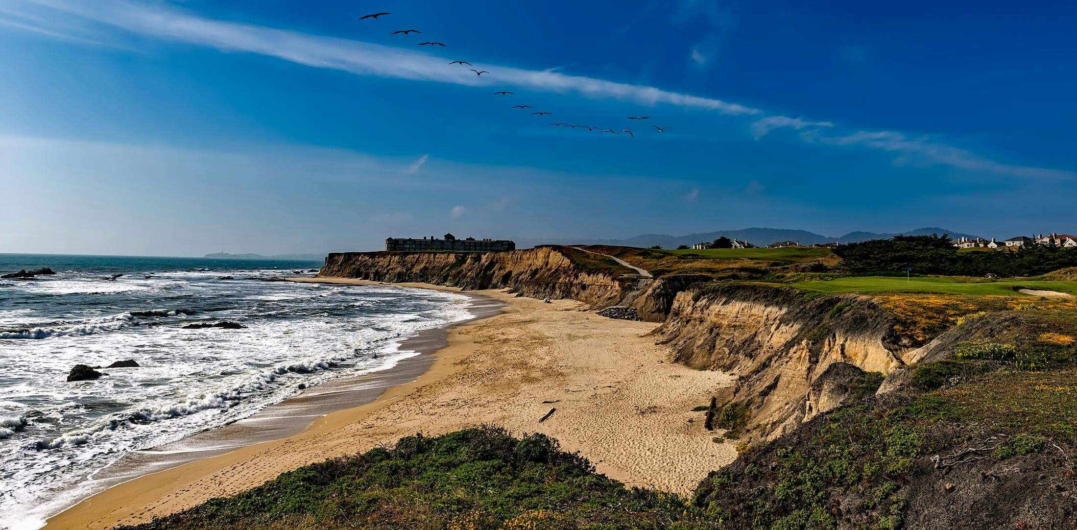 seashore view during daytime