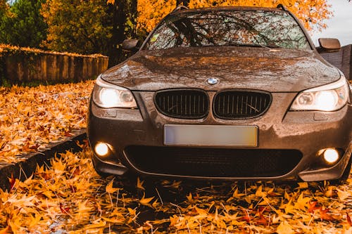 茶色の葉に囲まれた駐車中の黒いbmw車