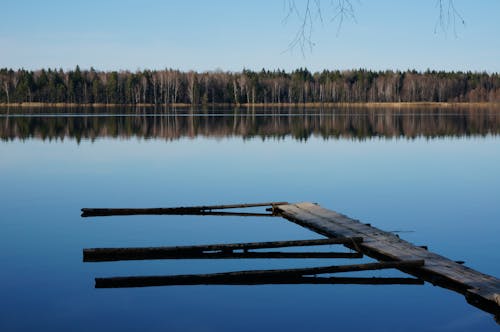 Gratis stockfoto met blauwe lucht, Bos, bossen