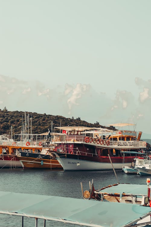 Boats Moored in the Marina 