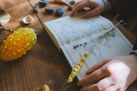 双手在放着干植物和石头的木桌上翻阅植物指南