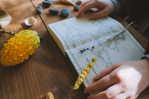 双手在放着干植物和石头的木桌上翻阅植物指南