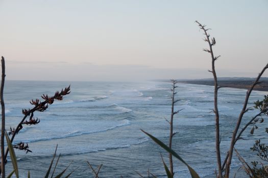 West Coast black-sand beaches — Auckland