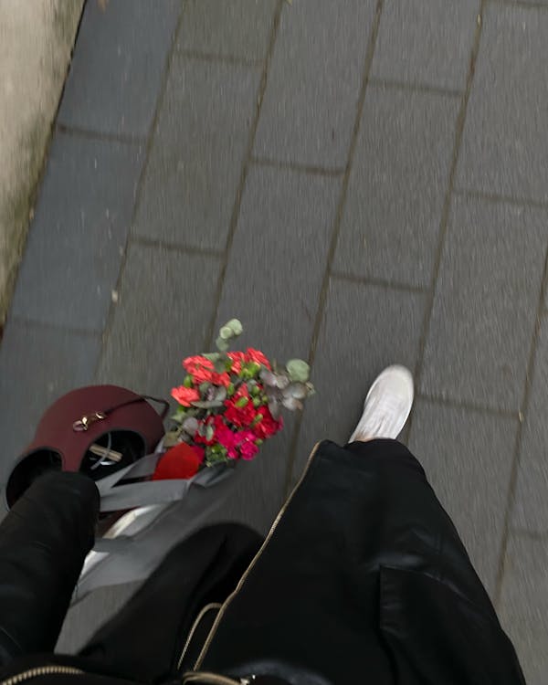 Best Bars in Sonoma | Top Sonoma Bars & Nightlife Guide