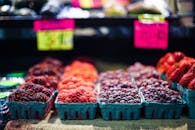 特写镜头中，充满活力的农贸市场上，色彩缤纷的容器里盛放着新鲜浆果