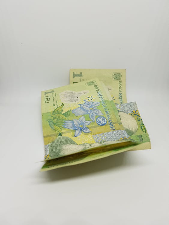 Banconta De Un Leu ウンルー ルーマニアのお金の無料の写真素材