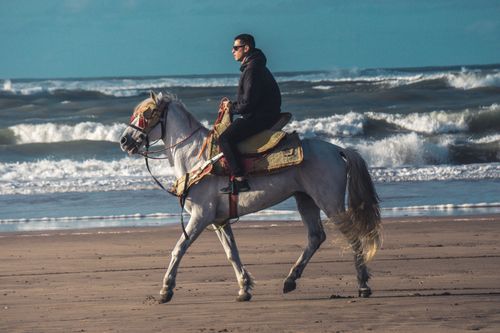 Free A man riding a horse along the scenic beach in Casablanca, Morocco, enjoying the ocean view. Stock Photo