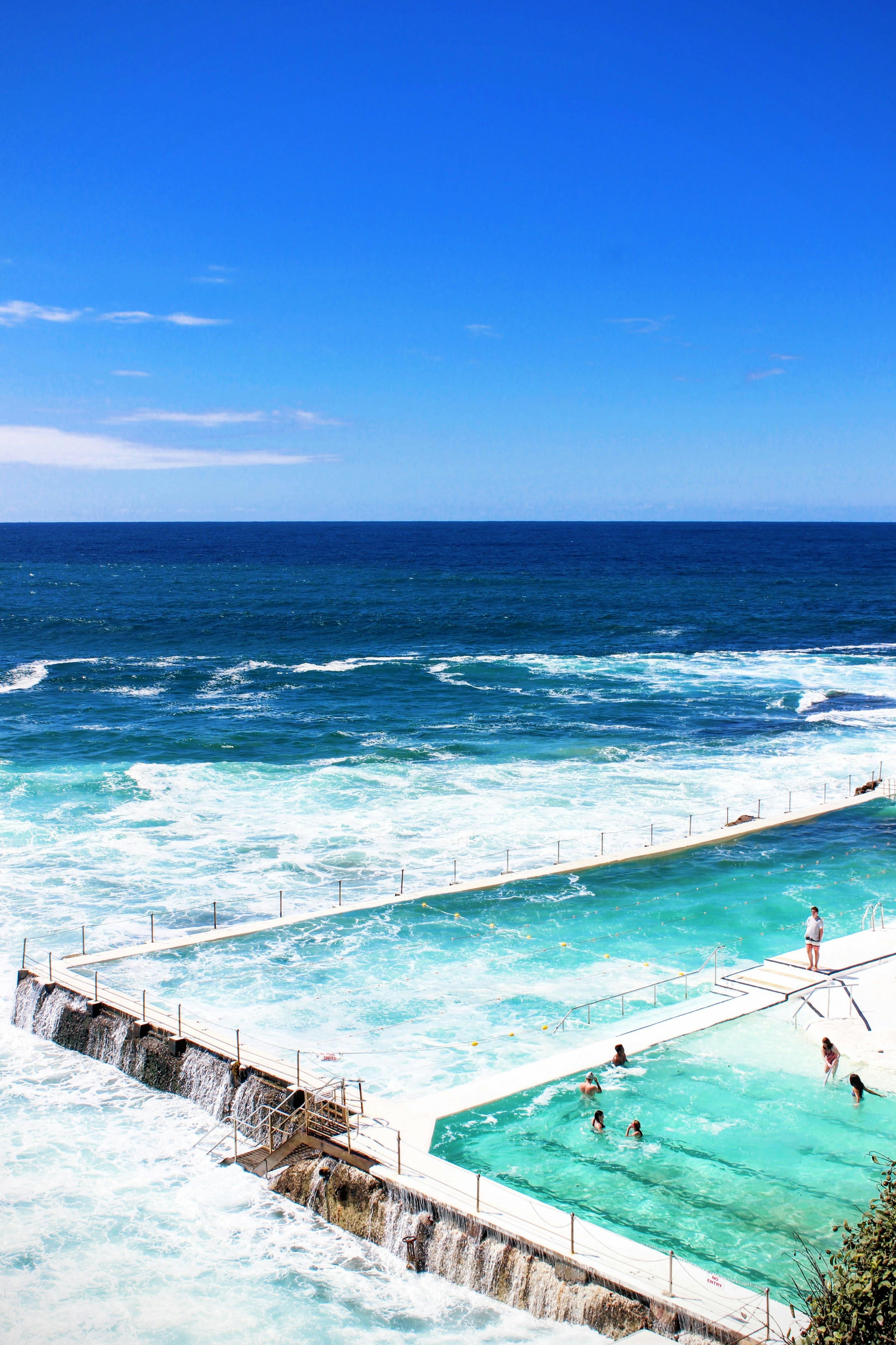 Bondi Aus Photos, Download The BEST Free Bondi Aus Stock Photos & HD Images