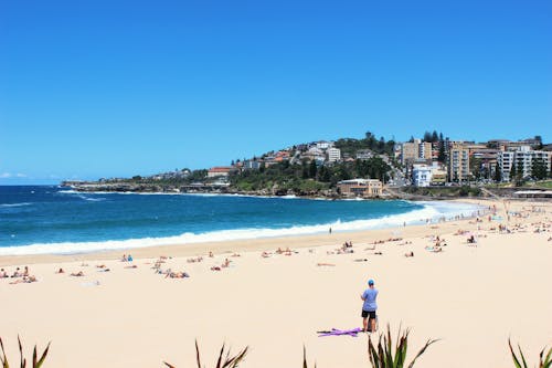 Základová fotografie zdarma na téma australia beach, austrálie bondi, australská plážová scéna