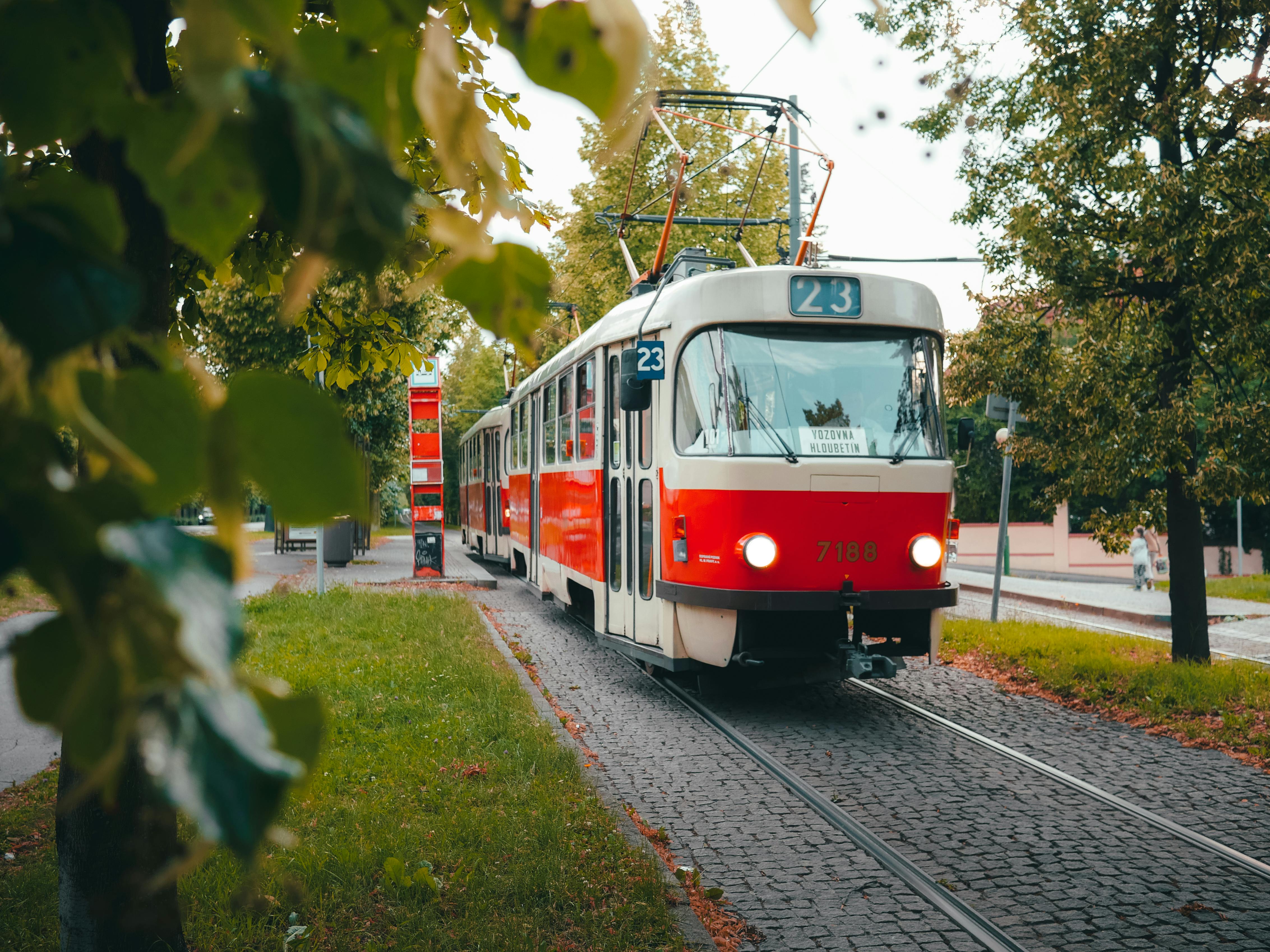 Exploring Natural Wonders Within the City