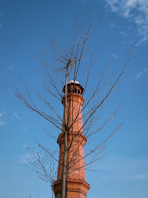 タワー, ローアングルショット, 垂直ショットの無料の写真素材