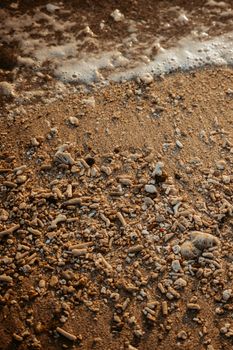 Close-up shot of sand and pebbles by the sea, highlighted by warm sunset tones.