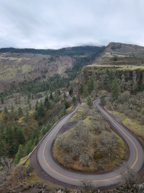 Free Curvy road through a scenic mountain forest. Perfect for travel and adventure themes. Stock Photo