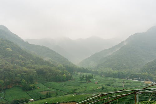 Fog over Hills and Fields in Countryside