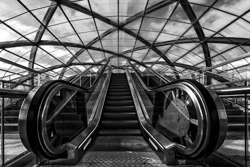 Escalator under Glass Ceiling