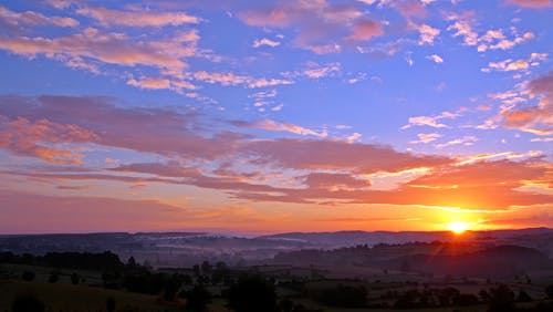 Free Green Tall Trees With View of Mountain and Sun Peeking Through Stock Photo