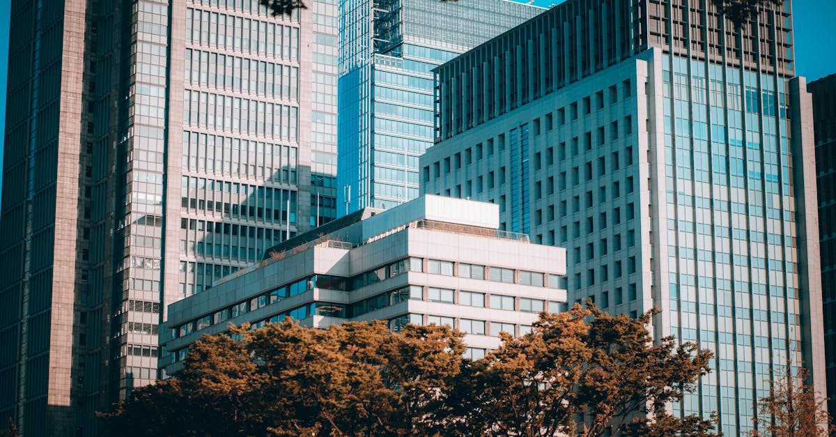 財經漫談:接棒安倍,高市早苗的五支箭政策解析