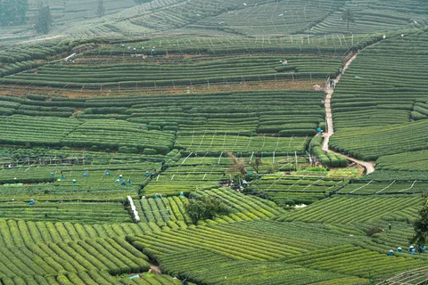 Customised Private Hangzhou Tour: Choose Three of Twelve Sights