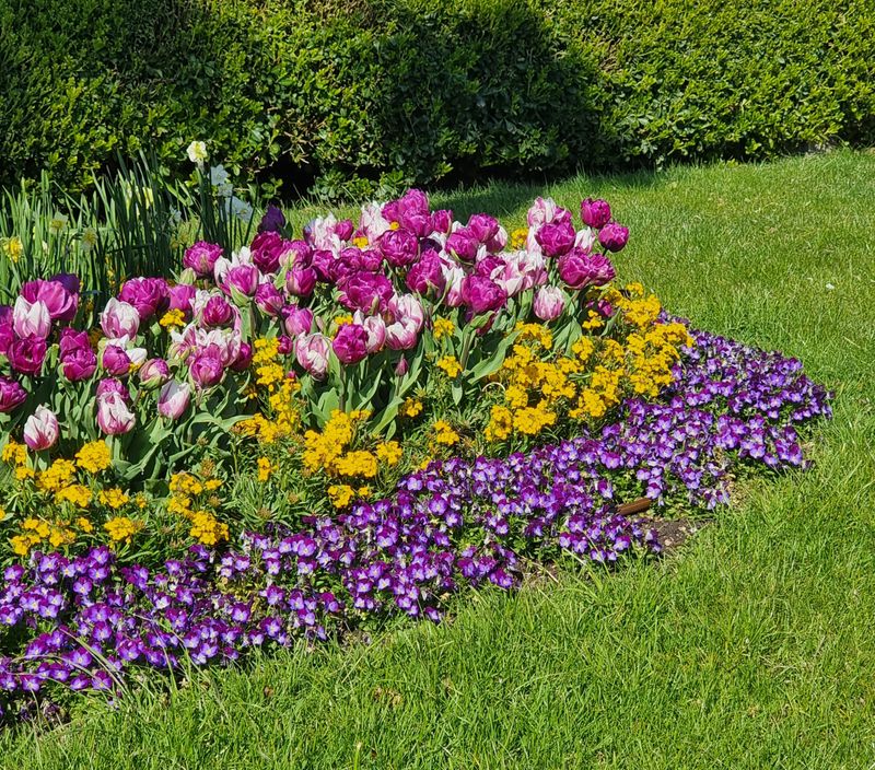 Multi-coloured flowerbed in a landscaped garden