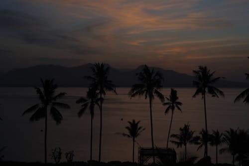 岸邊, 日落, 晚間 的 免费素材图片