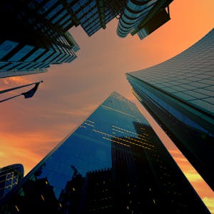 Exotic purple specimen