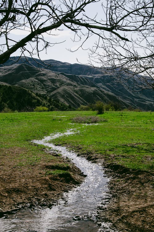 Immagine gratuita di acqua corrente, montagne, paesaggio