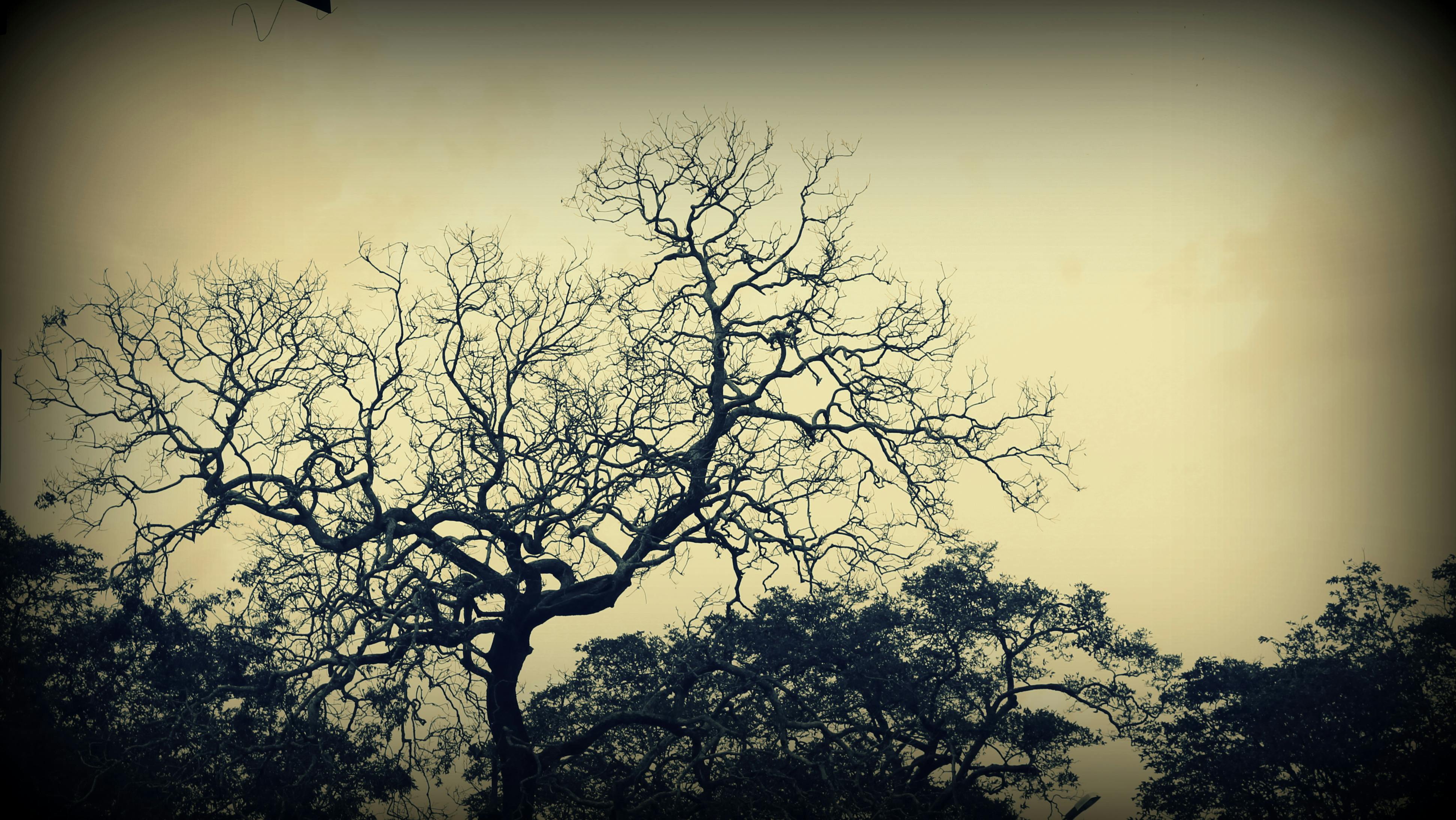 Visit a Local Cheese Factory