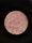 microscopic