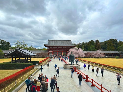 Kostnadsfri bild av arkitekt, japansk, kejserlig