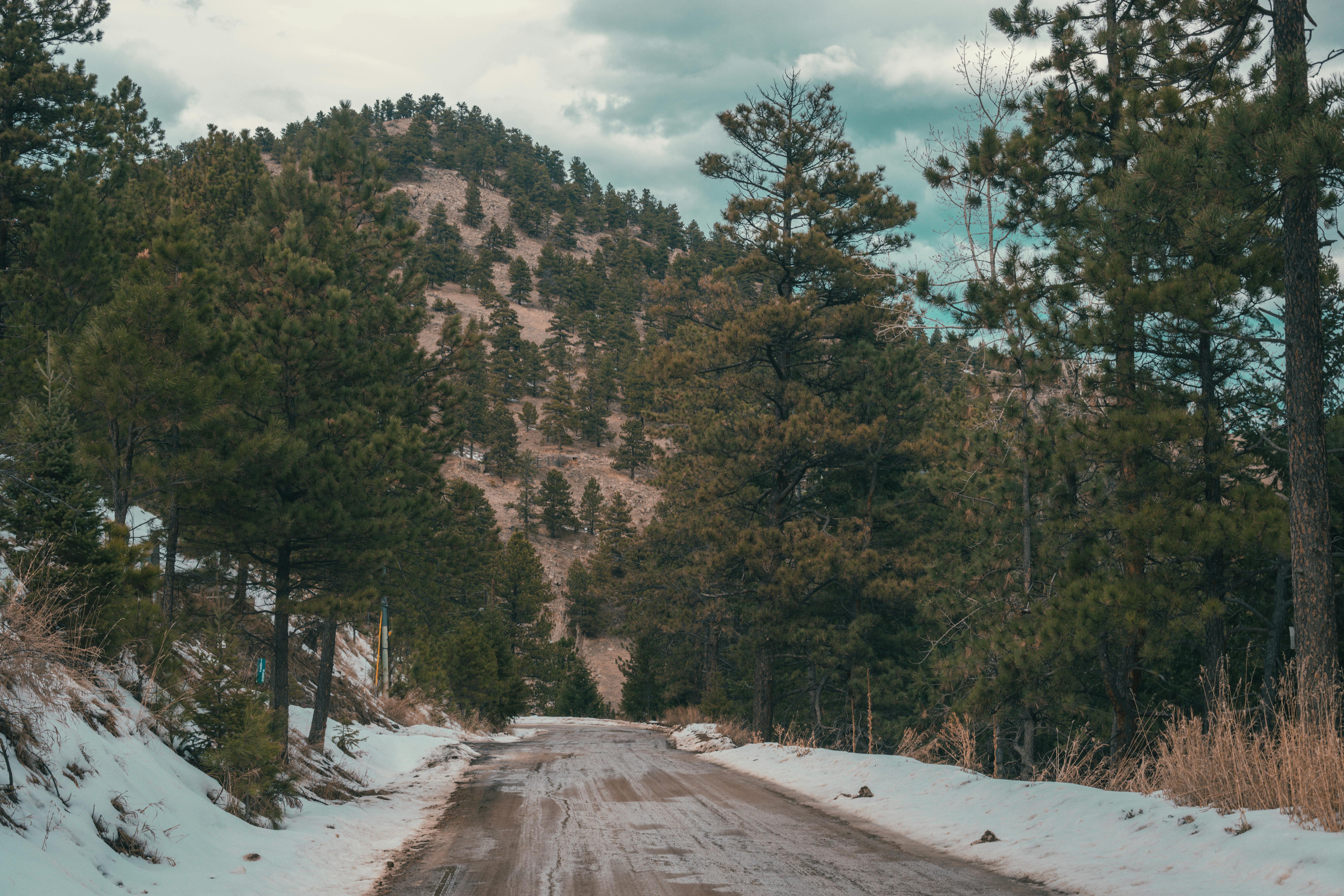一条白雪皑皑的宁静林间小路，在多云天空下蜿蜒穿过山区