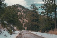 一条白雪皑皑的宁静林间小路，在多云天空下蜿蜒穿过山区