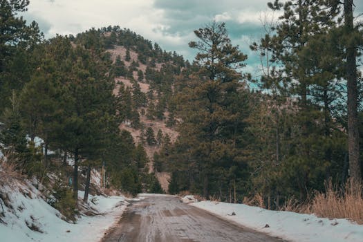 一条白雪皑皑的宁静林间小路，在多云天空下蜿蜒穿过山区