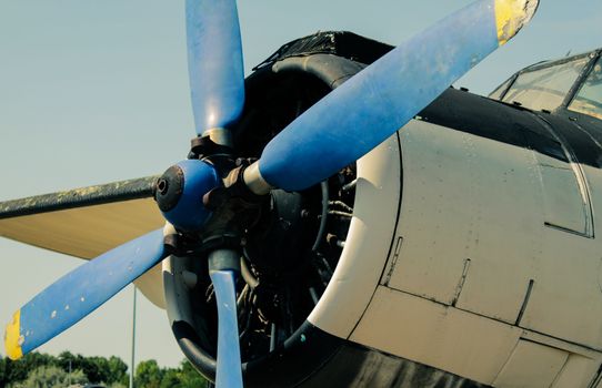 Blue Blades of Propeller