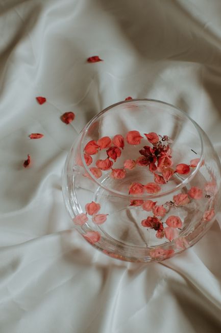 Aesthetic close-up of vibrant pink petals floating in a glass bowl filled with water, placed on a white fabric.