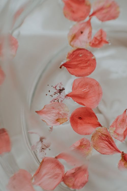 Free Close-up of pink petals gracefully floating in clear water, creating a serene and artistic composition. Stock Photo
