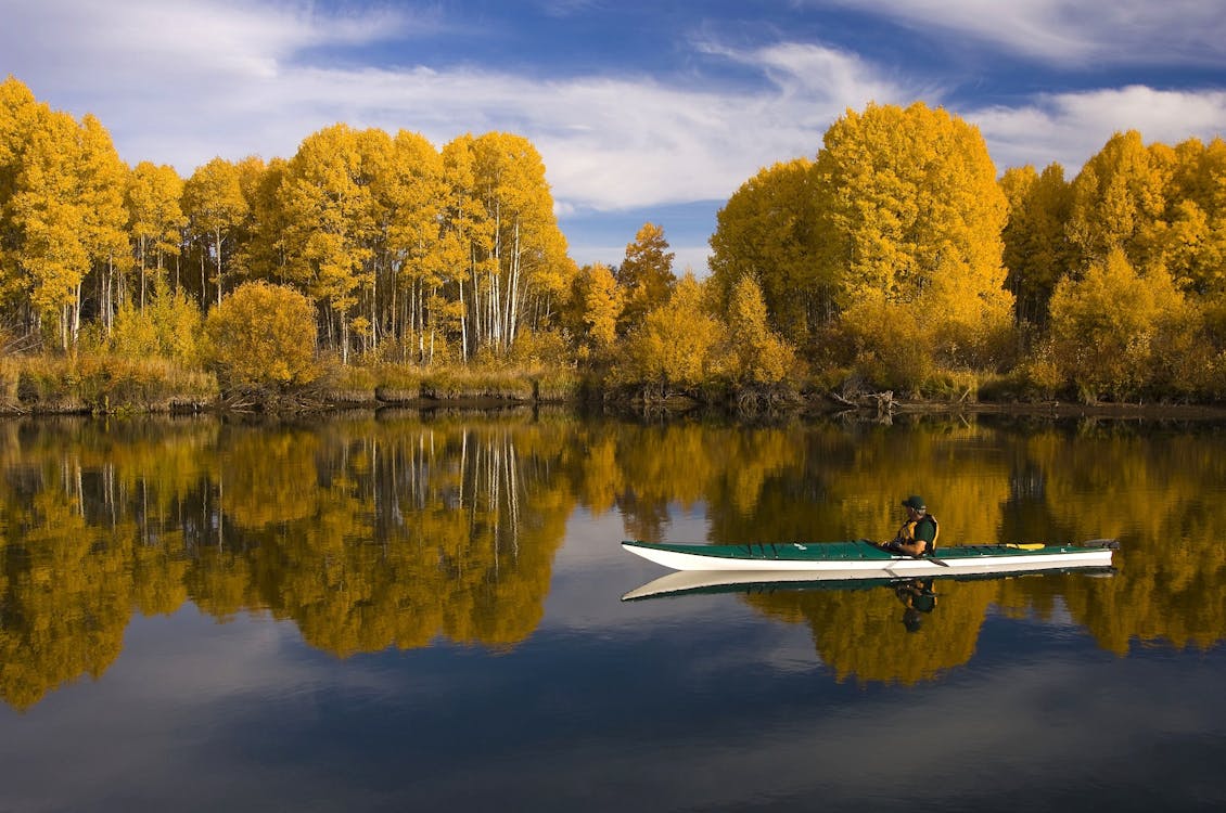 бесплатная человек катается на бело зеленой лодке по водоему в дневное время Стоковое фото