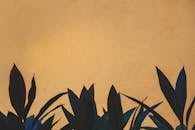 Black and Green Leaves Illustration