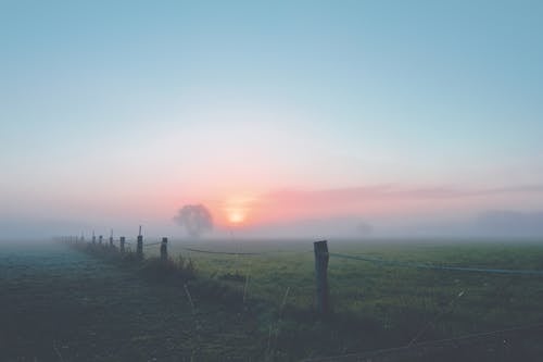 Ingyenes stockfotó hajnal, kerítés, köd témában Stockfotó