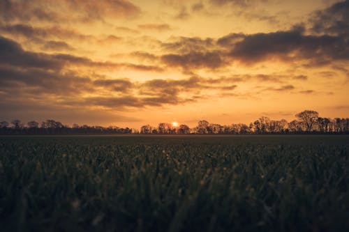 Foto profissional grátis de área, ecológico, Hora dourada