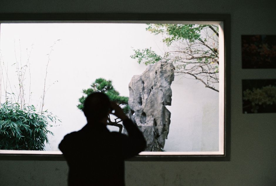 Descoperă Arta Bonsai la Grădina Botanică Cluj-Napoca - Program și Prețuri Bilete Expozitie