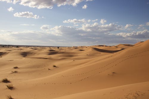 Footprints in a Barren Desert