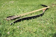 Bow Images