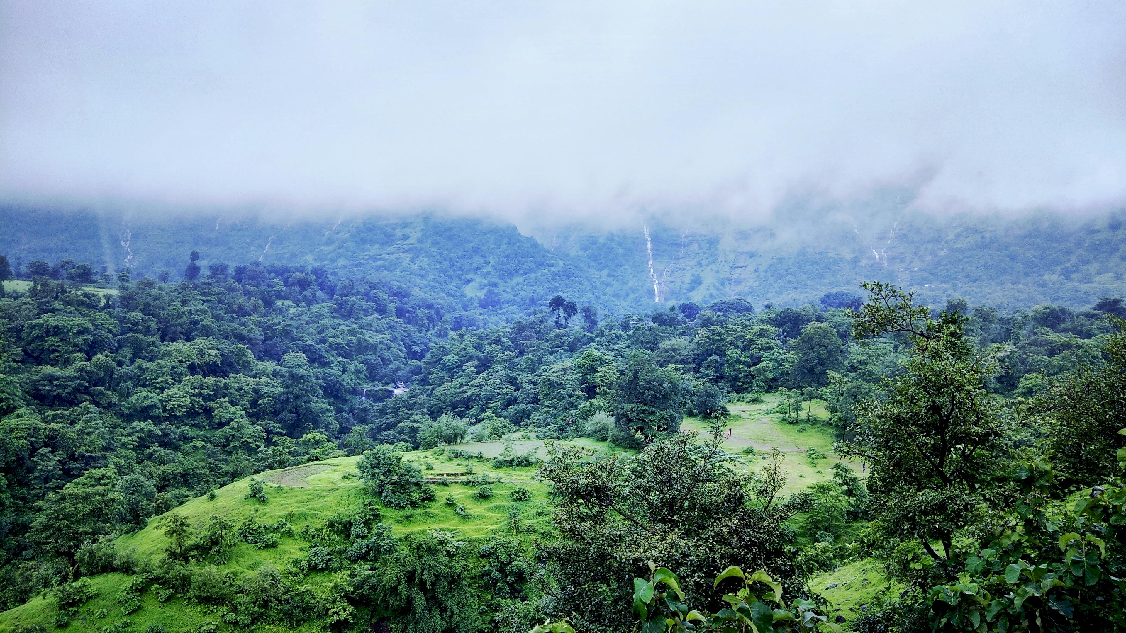 Carros clássicos em Havana Cuba