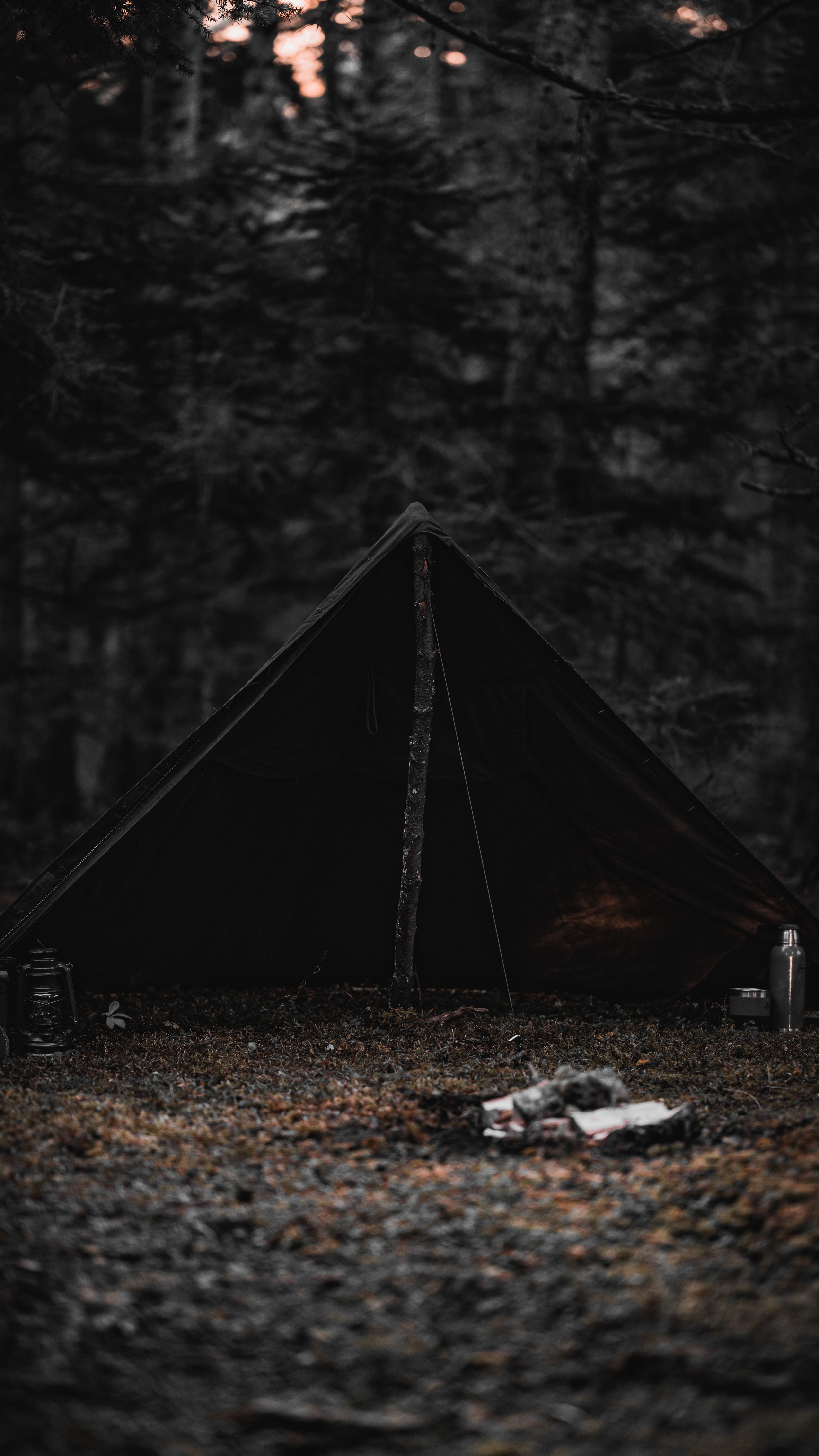 Serene camping scene with a tent in the forest of Bolu, Türkiye.