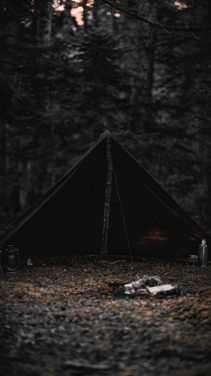 Serene camping scene with a tent in the forest of Bolu, Türkiye.