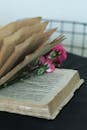 Pink Carnation Flowers in a Vintage Book