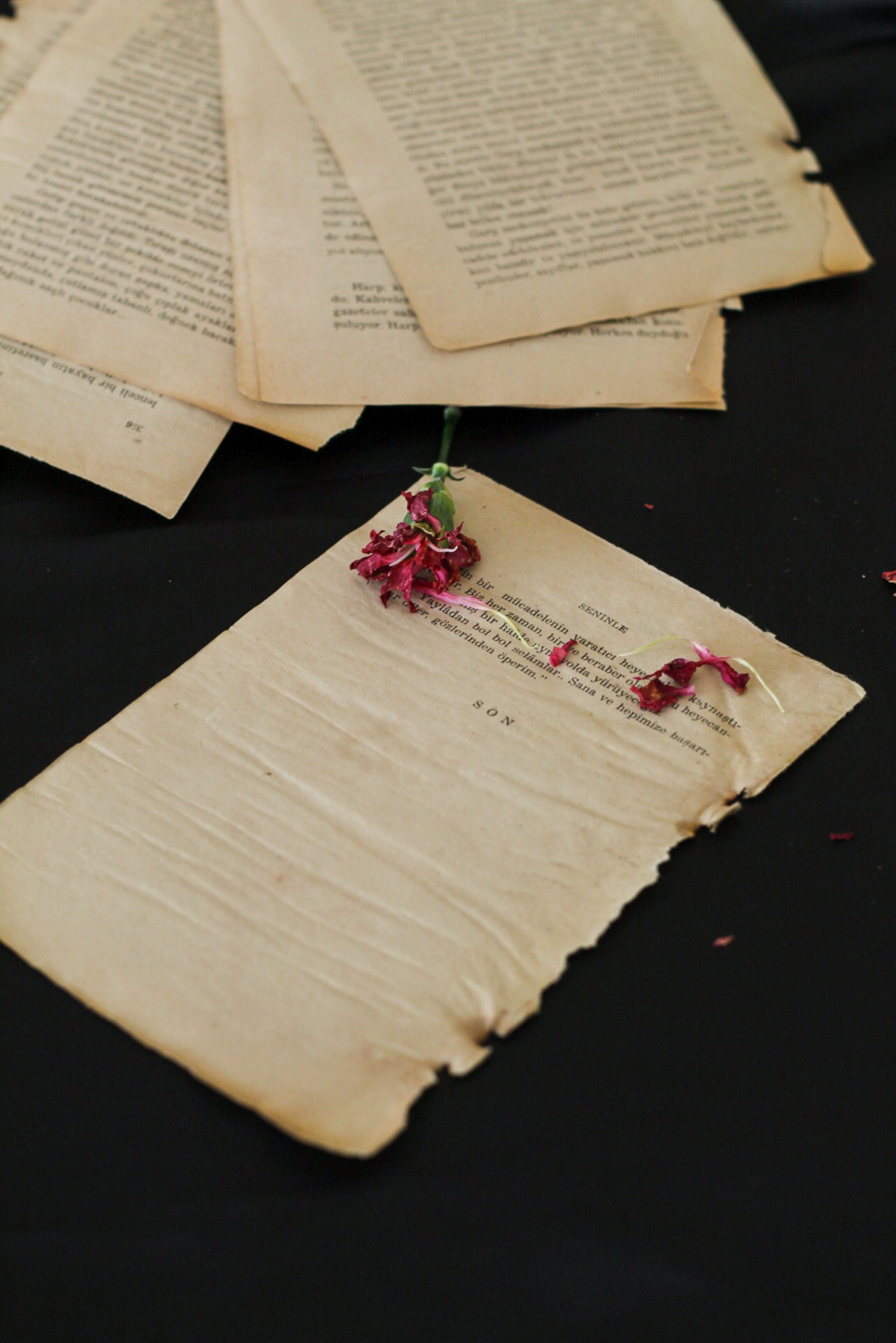 Photo of Pages Torn from an Old Book · Free Stock Photo