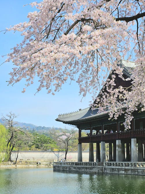 Photo of the Gyeonghoeru Pavilion in Seoul, South Korea
